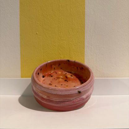 Oaat Ceramic Dog Bowls