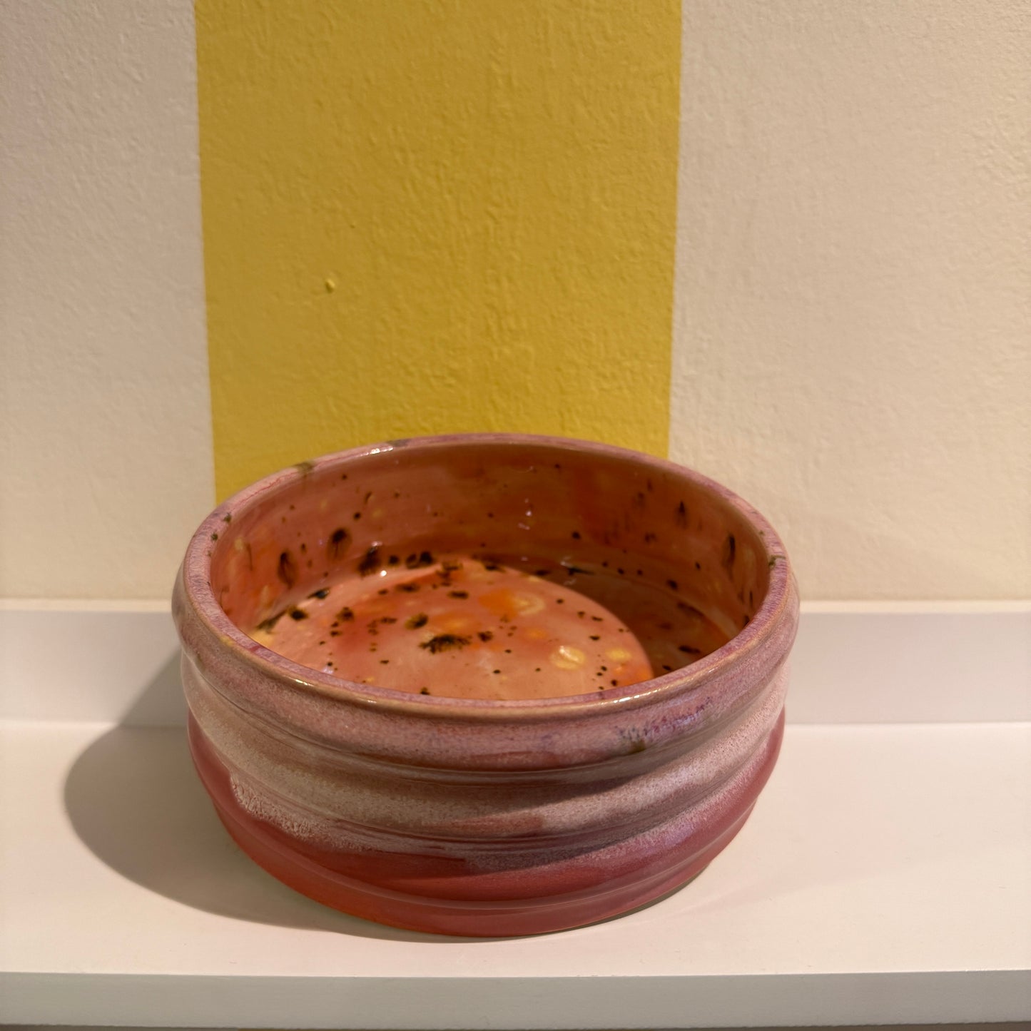 Oaat Ceramic Dog Bowls