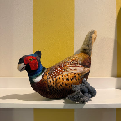 Colorful pheasant dog toy on a white surface with a yellow and beige striped background