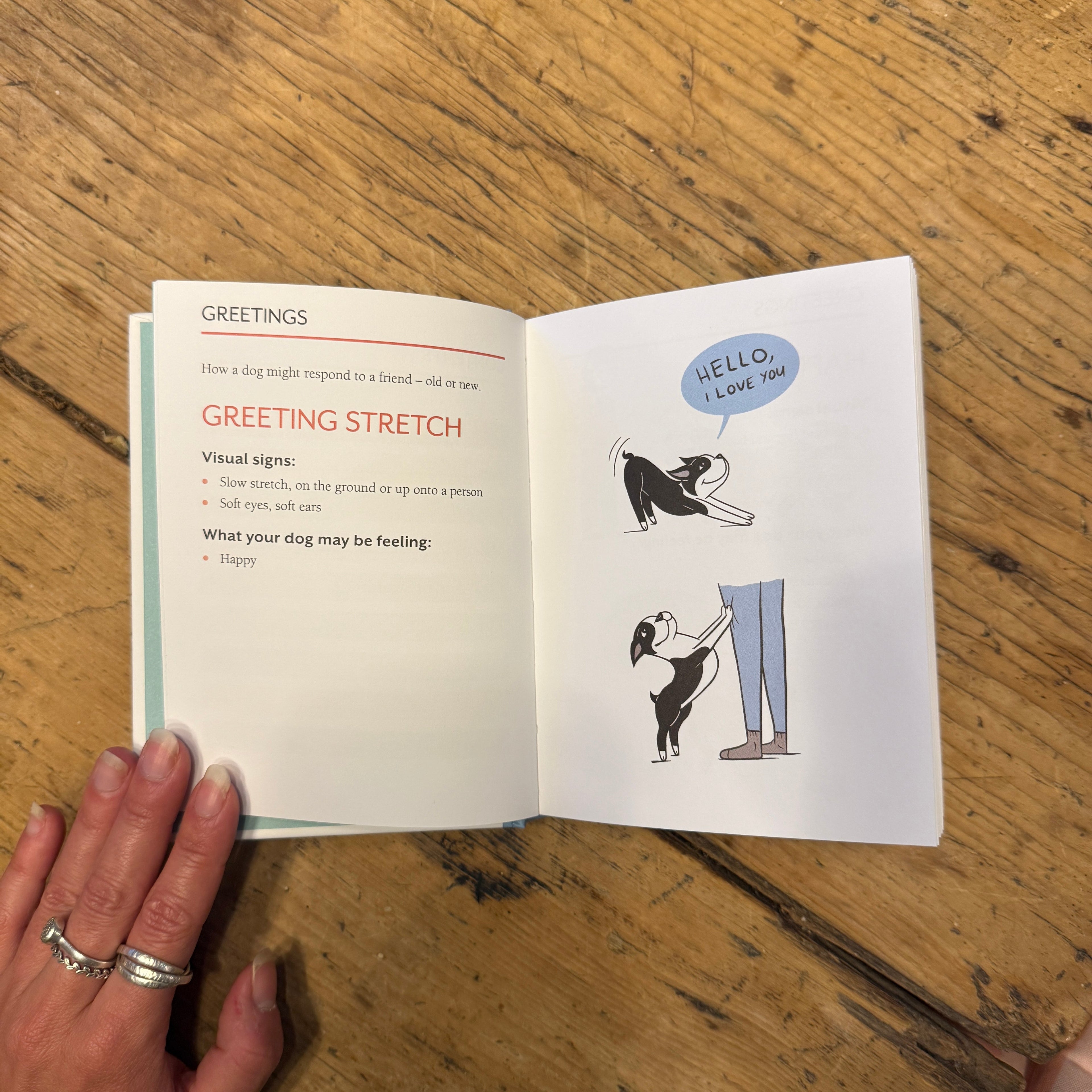 Doggie Language