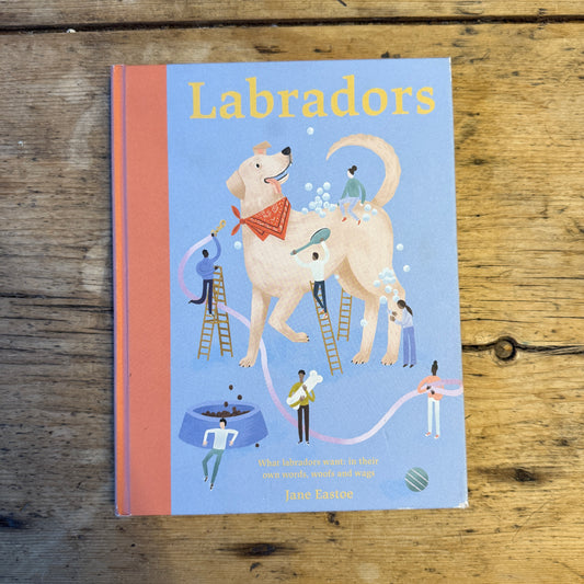 Labradors Handbook