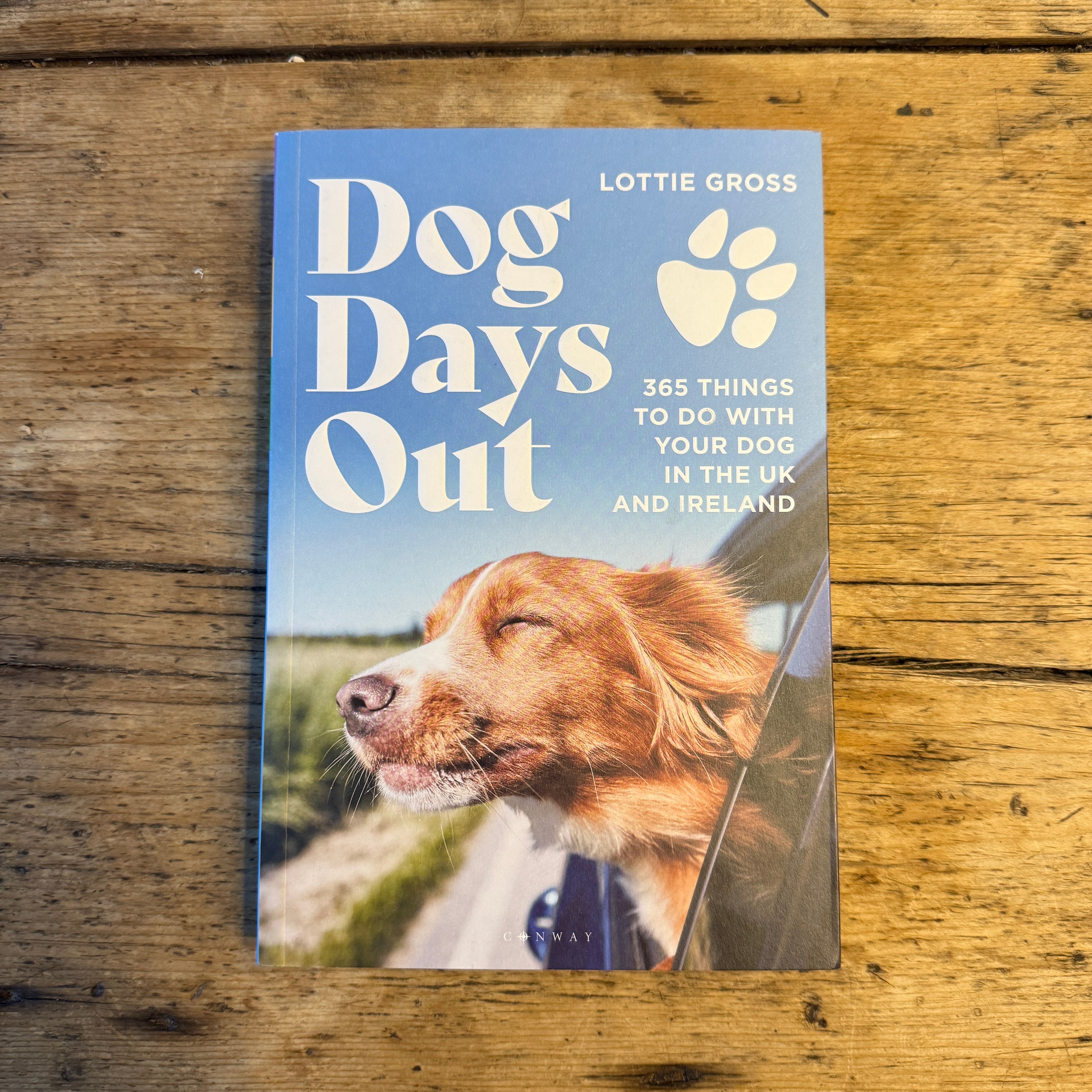 Dog Days Out