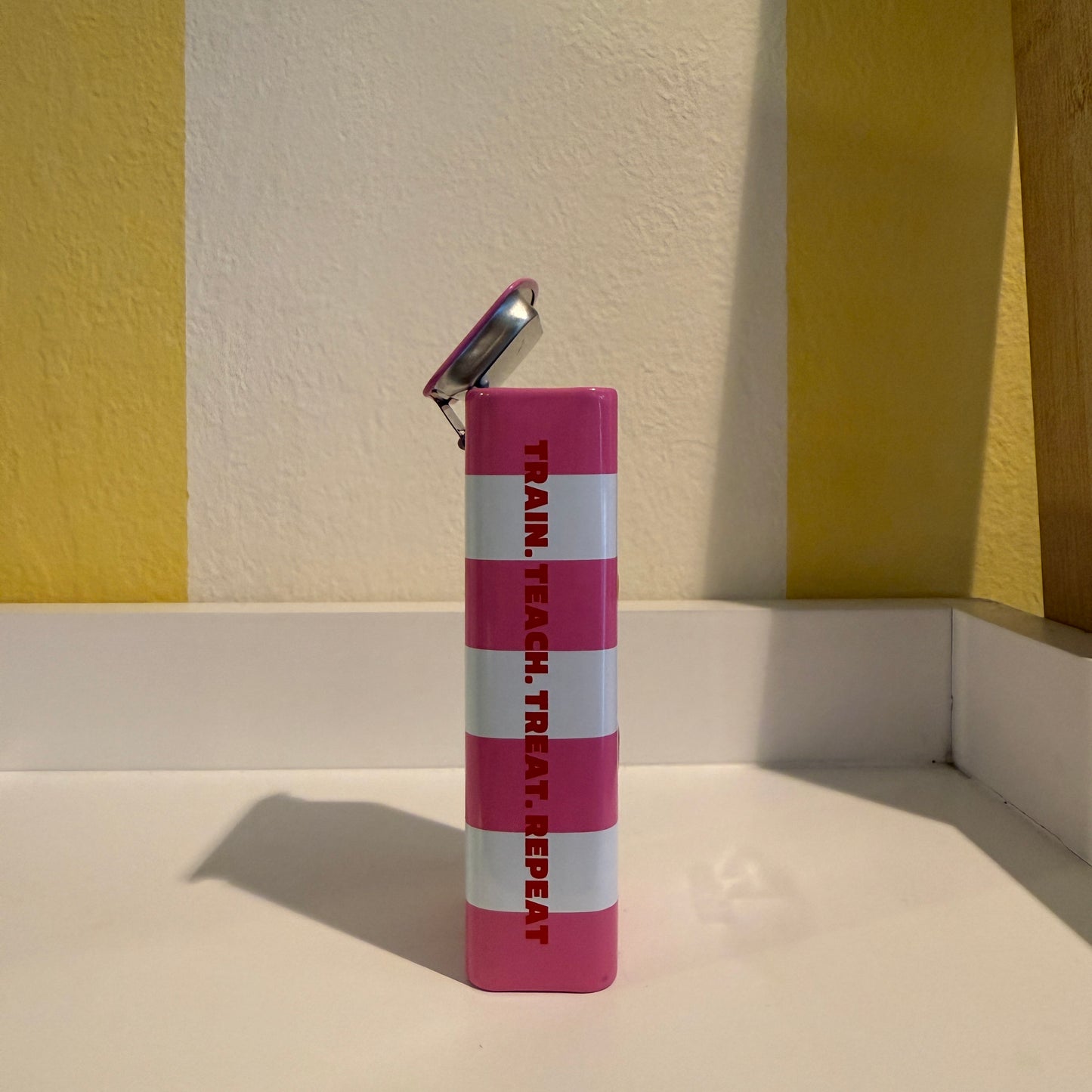 W'zis Training Treat Tin - McGinty