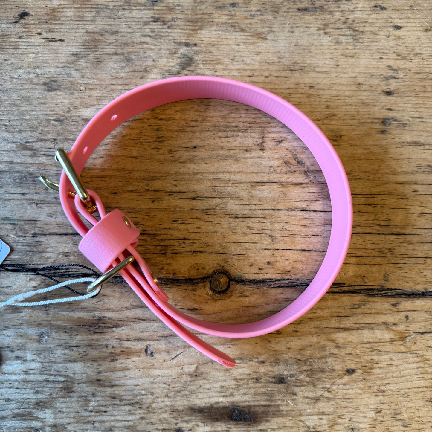 Biothane Collars by Franks Goods