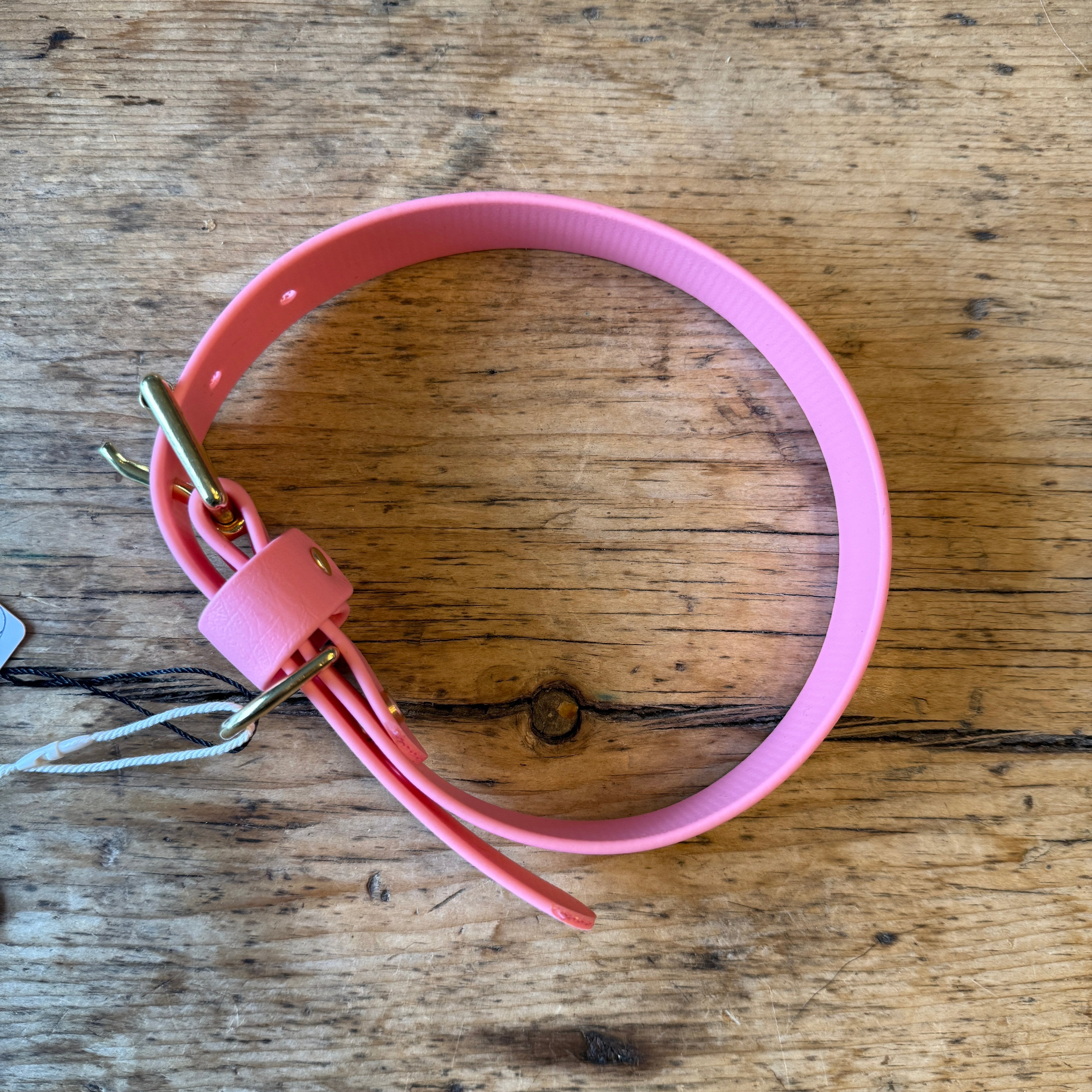 Biothane Collars by Franks Goods