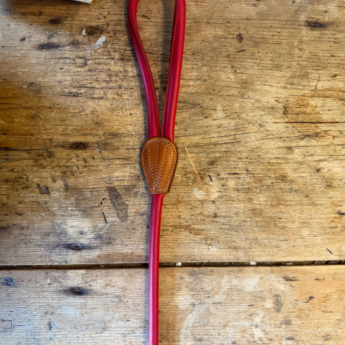 Rolled Leather Lead by Digby & Fox