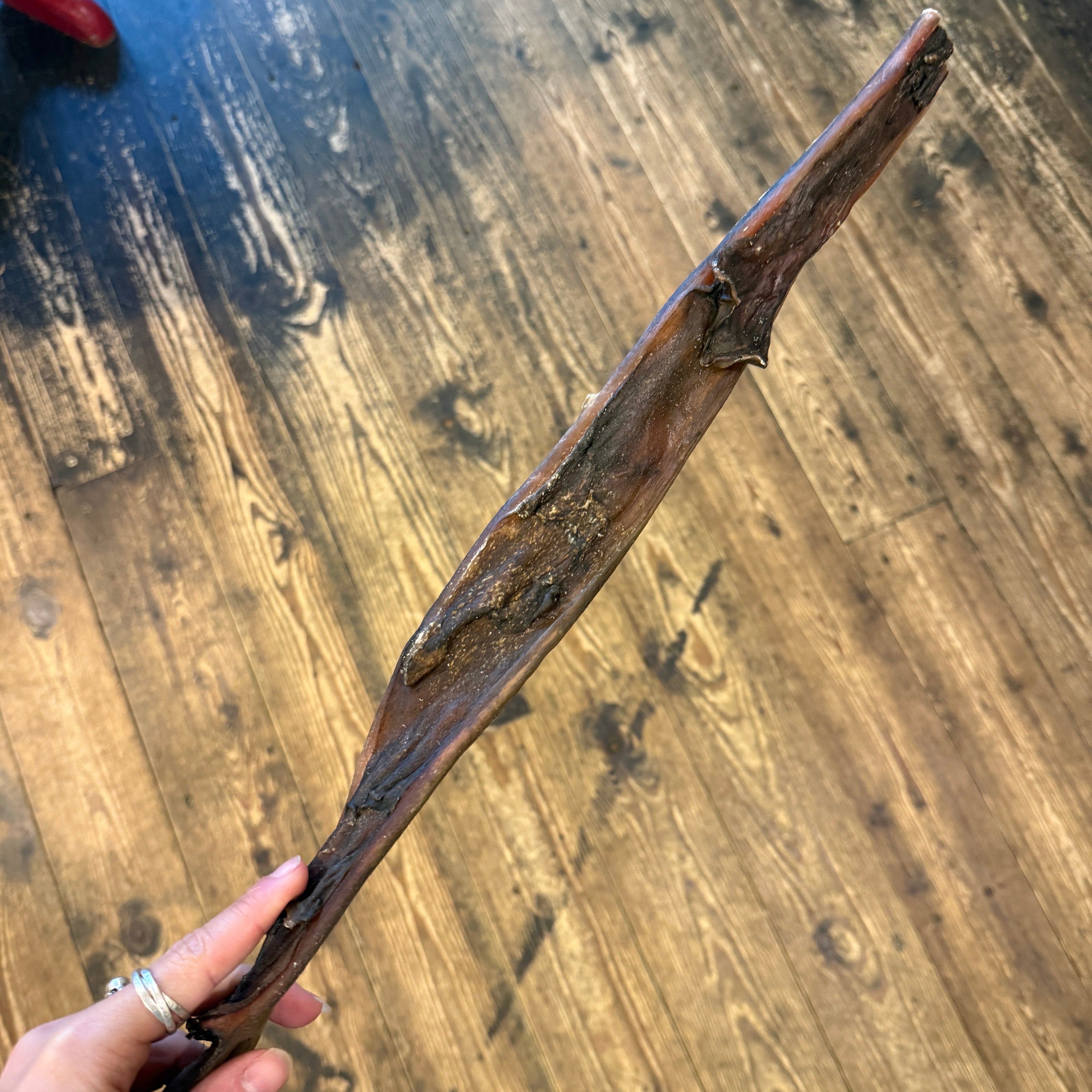 Camel Skin Sticks 50cm