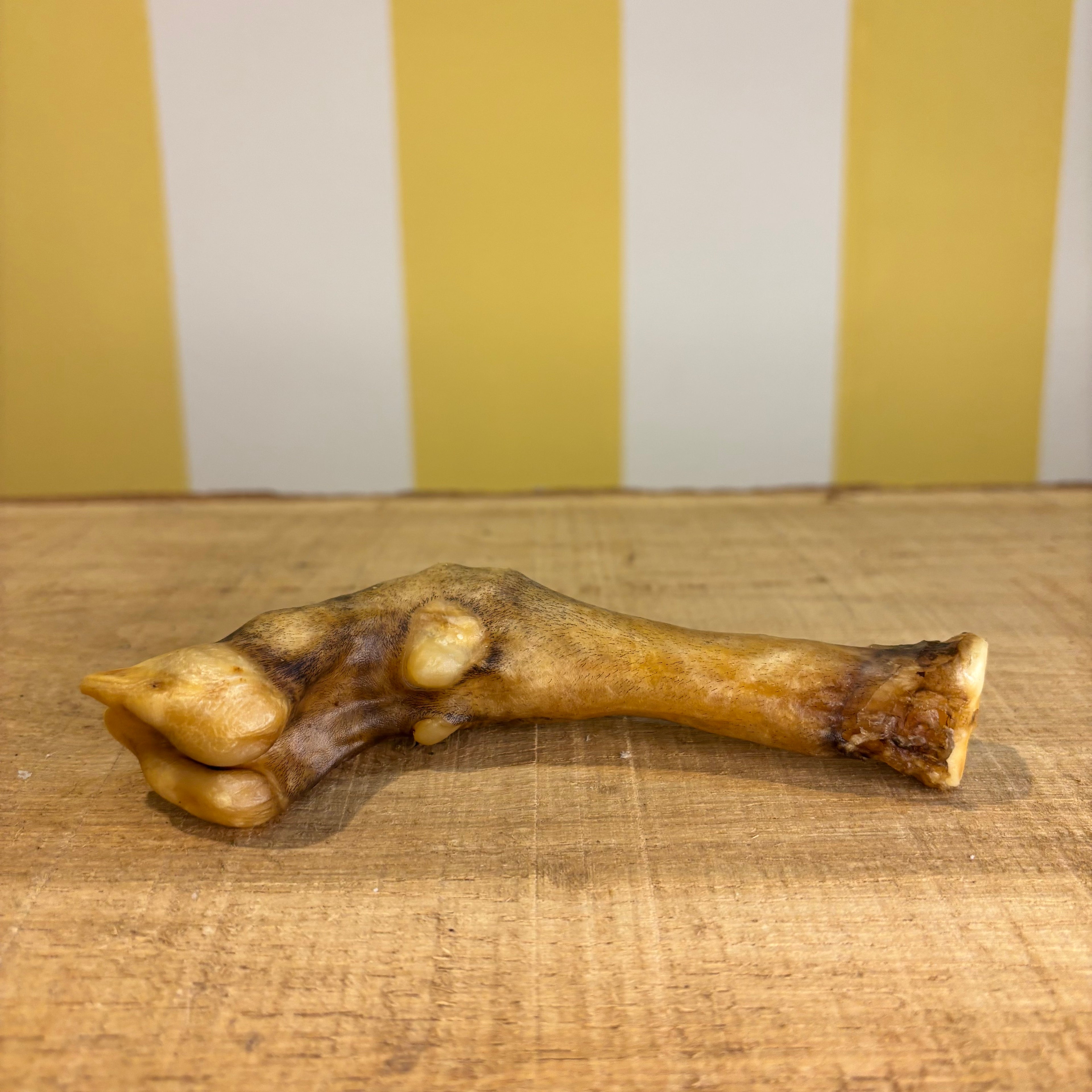 Lamb Legs