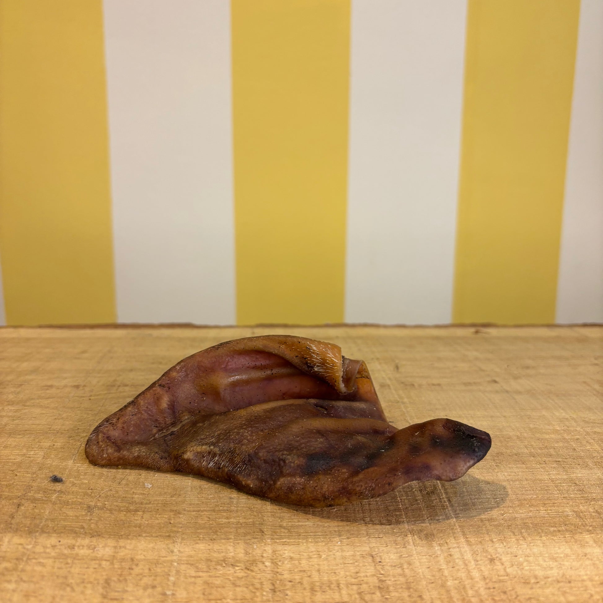 A Pigs Ears natural dog chew sits on a wooden surface with a yellow and white striped background, offering your pup a tasty, grain-free treat.