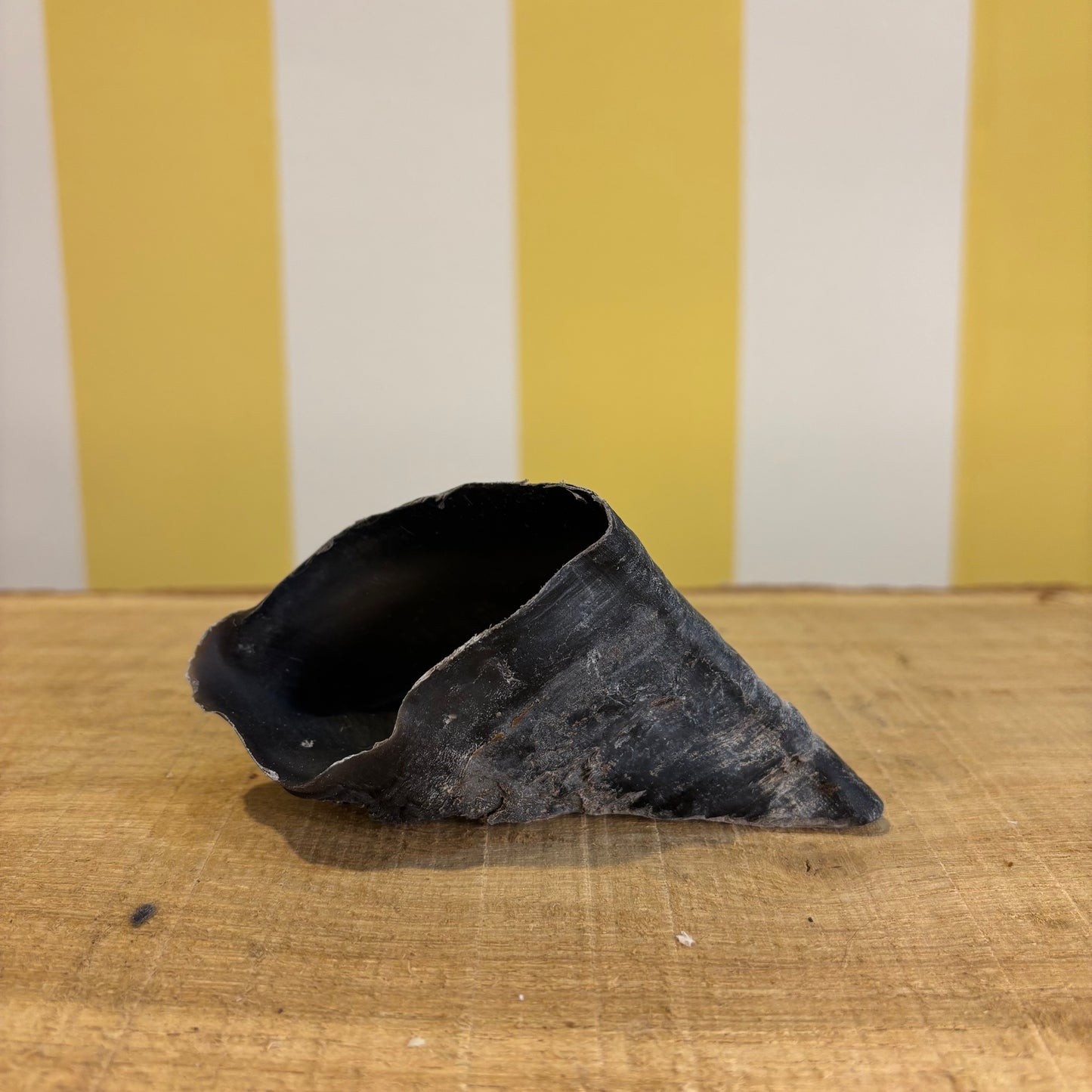 Cow Hooves dog treats from The Tetbury Pet Shop & Grooming rests on wood with a yellow and white striped background, resembling 