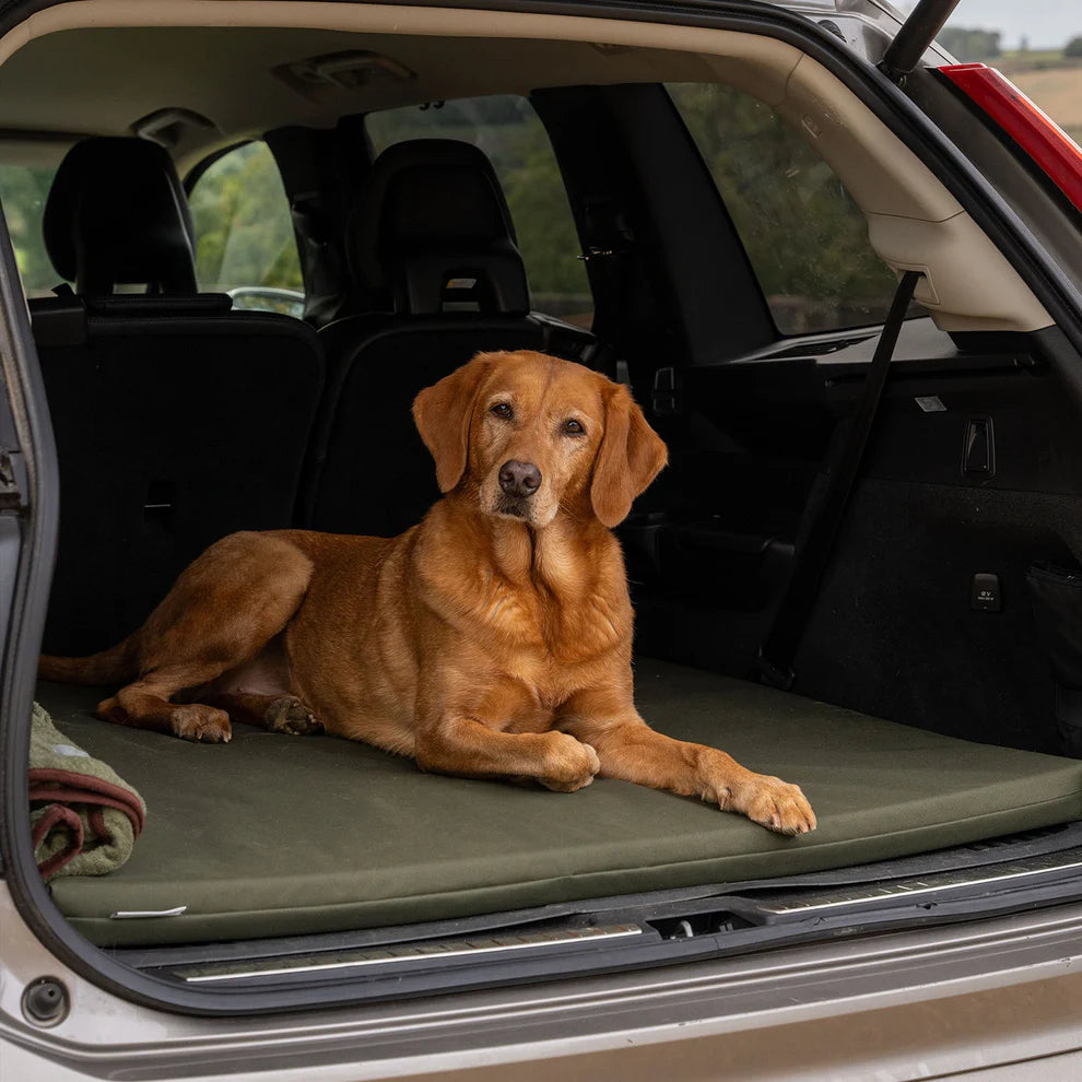Ruff and Tumble Mat Bed