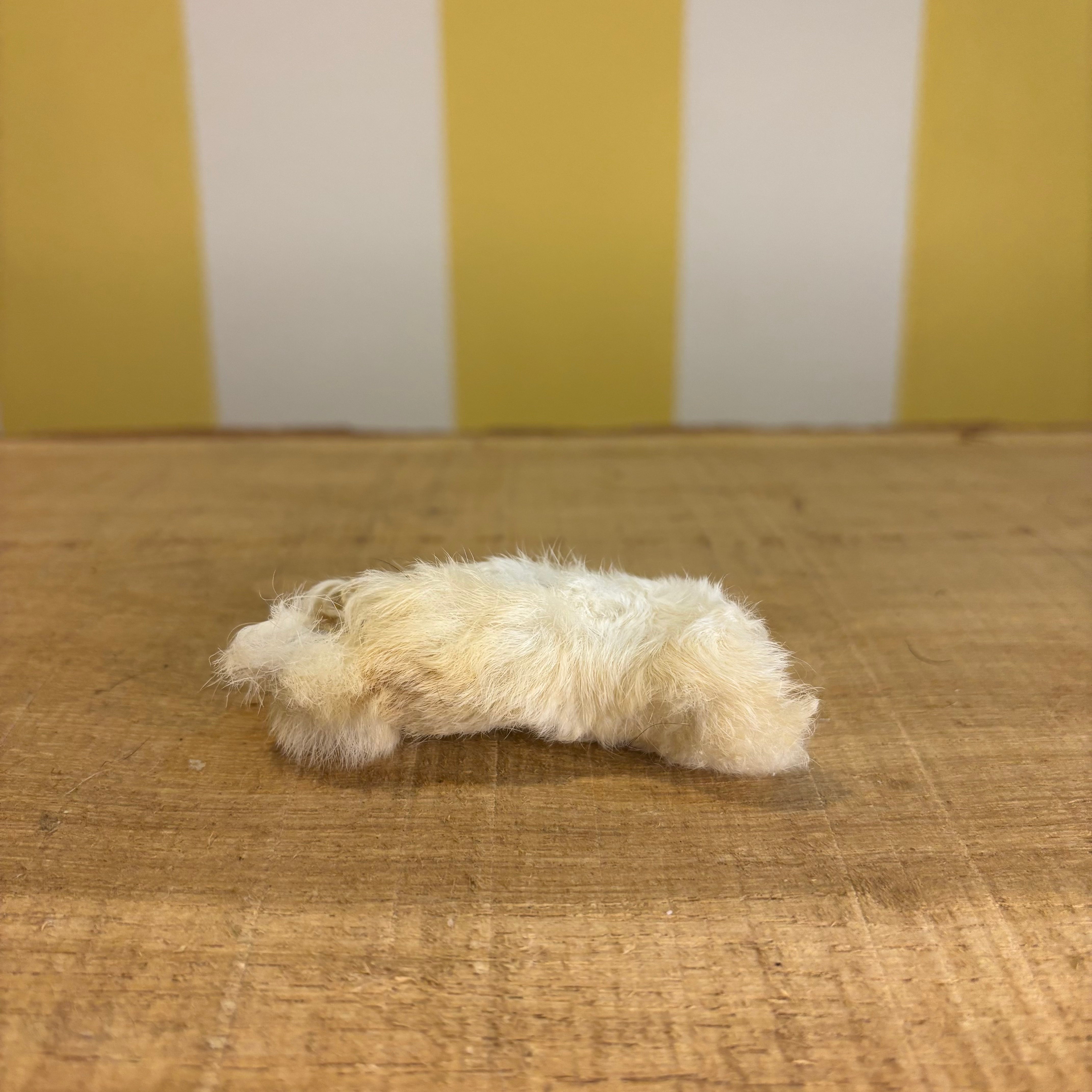 Rabbit Feet – The Tetbury Pet Shop & Grooming
