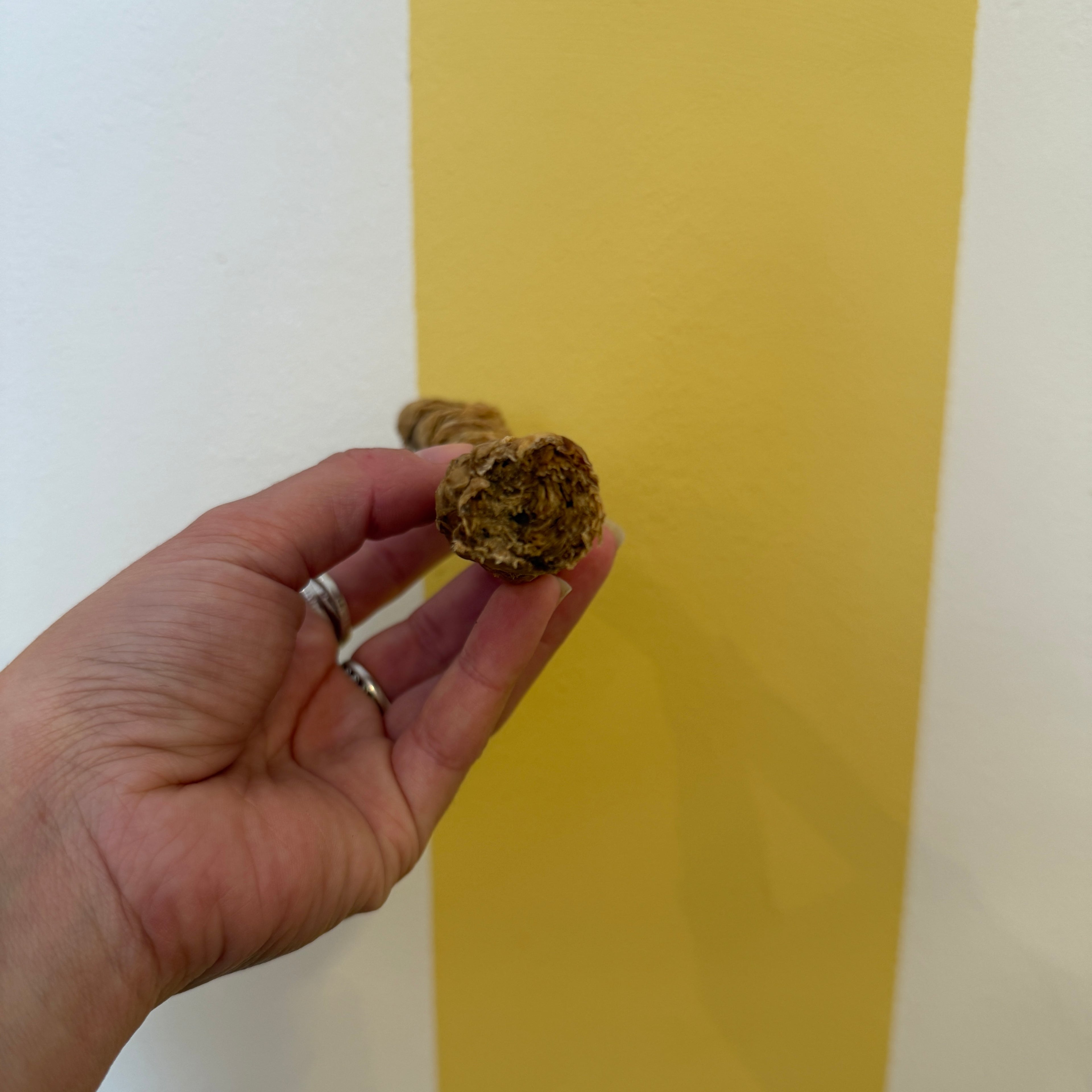 Rolled Beef Bladder