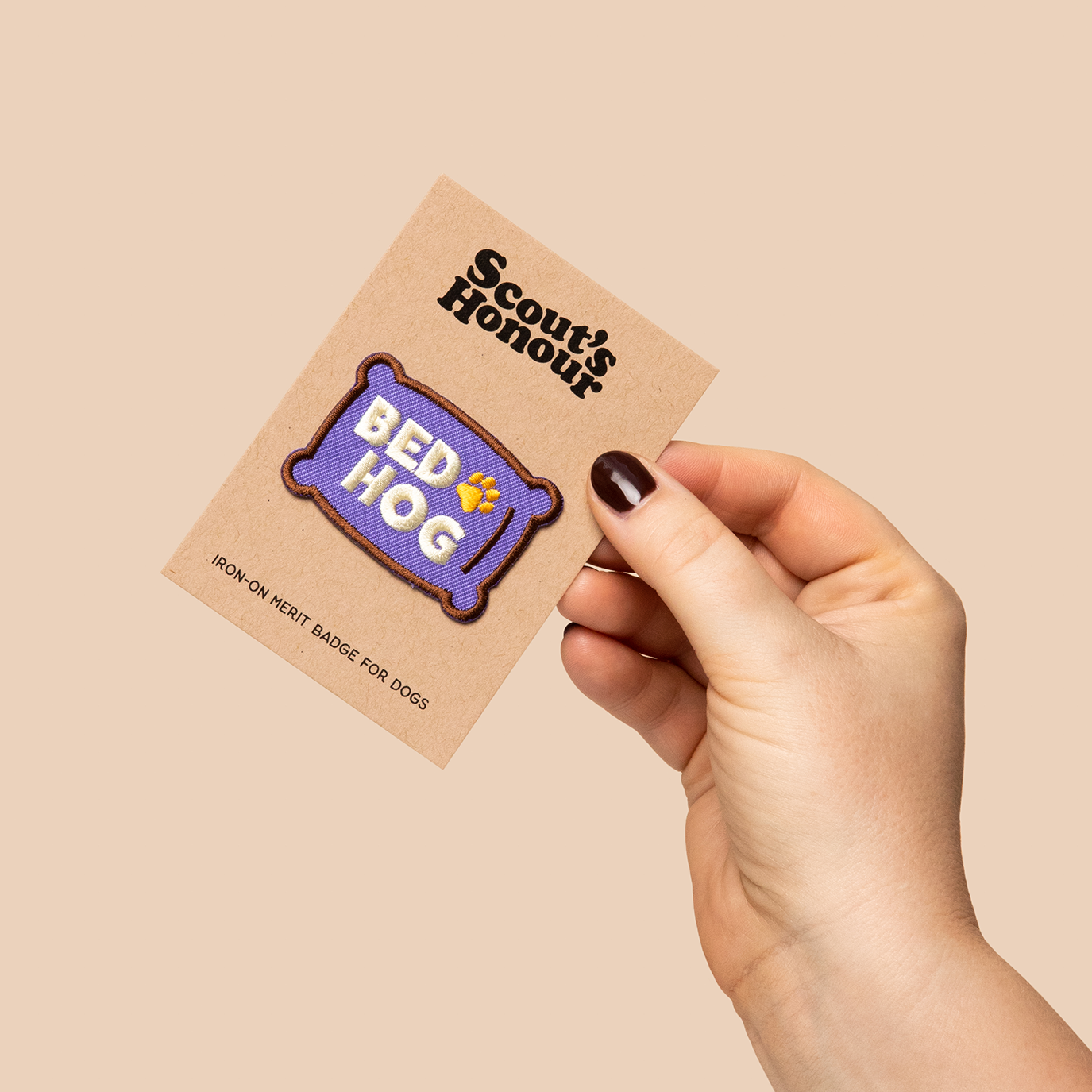 Scouts Honour Badges