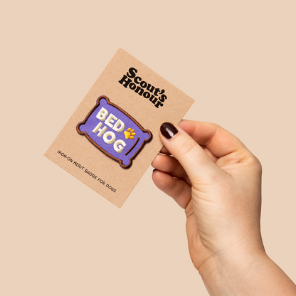 Scouts Honour Badges