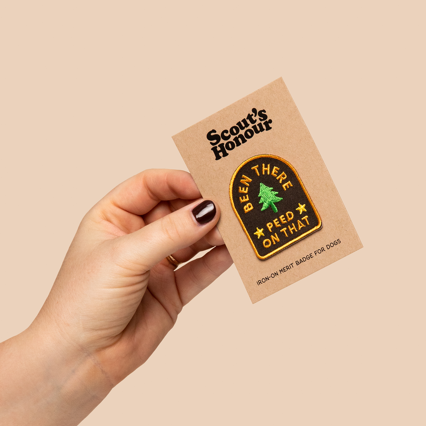 Scouts Honour Badges