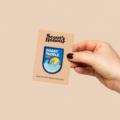 Scouts Honour Badges