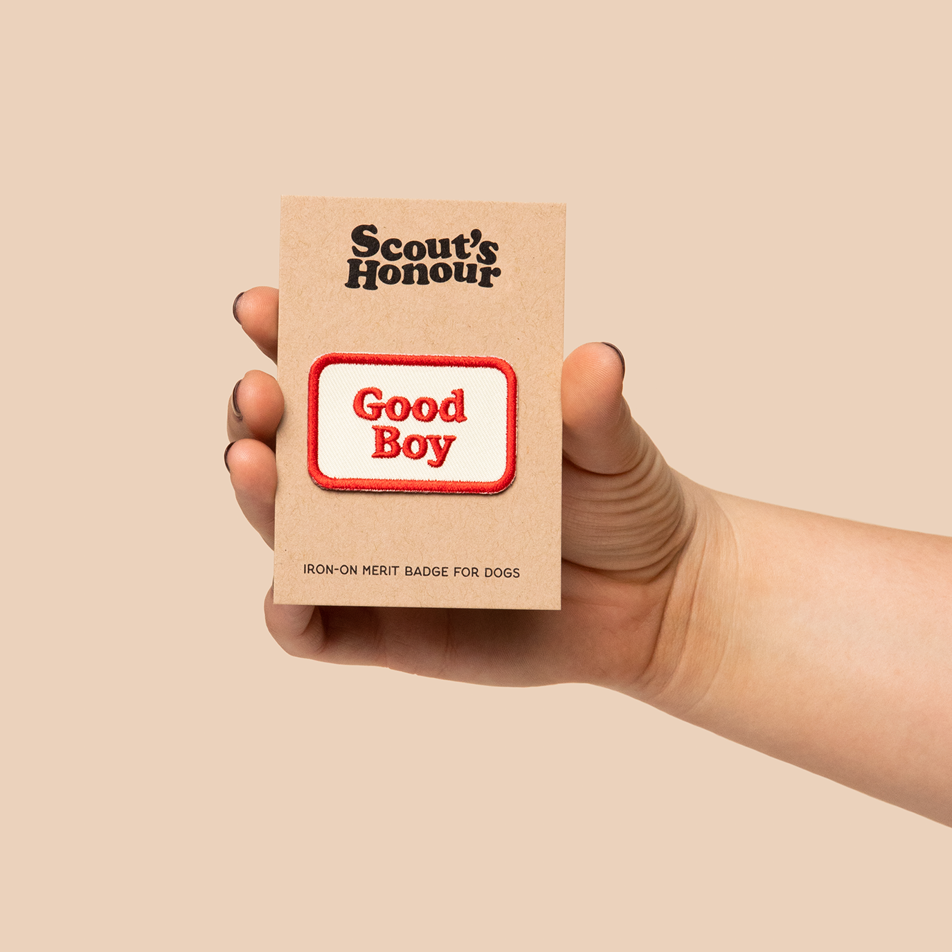 Scouts Honour Badges