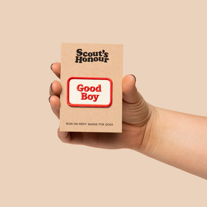 Scouts Honour Badges