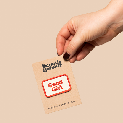 Scouts Honour Badges