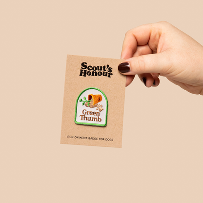 Scouts Honour Badges