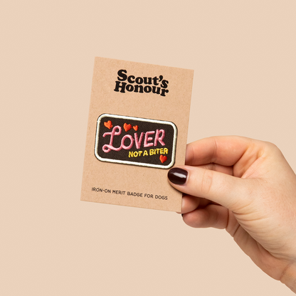 Scouts Honour Badges