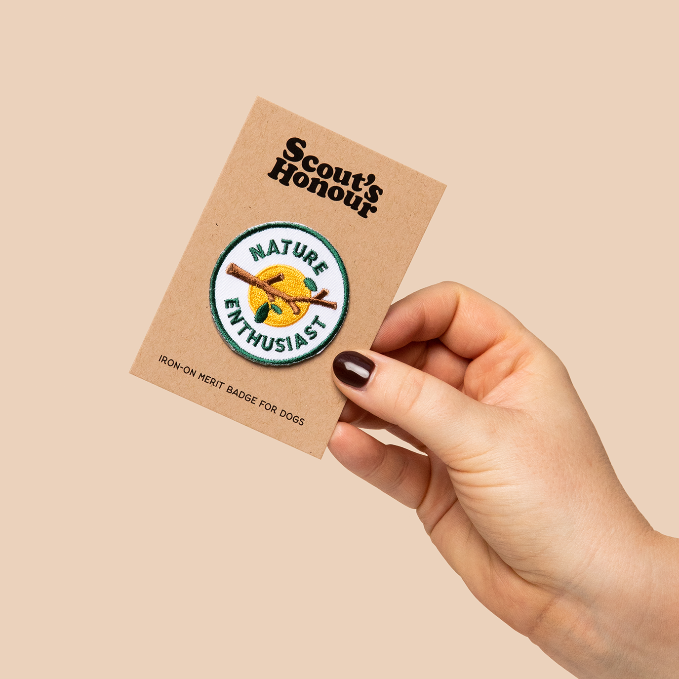 Scouts Honour Badges