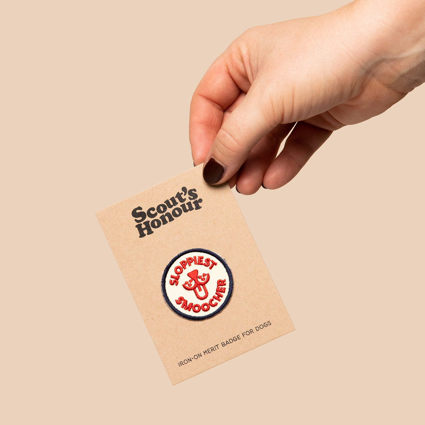 Scouts Honour Badges