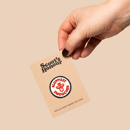 Scouts Honour Badges