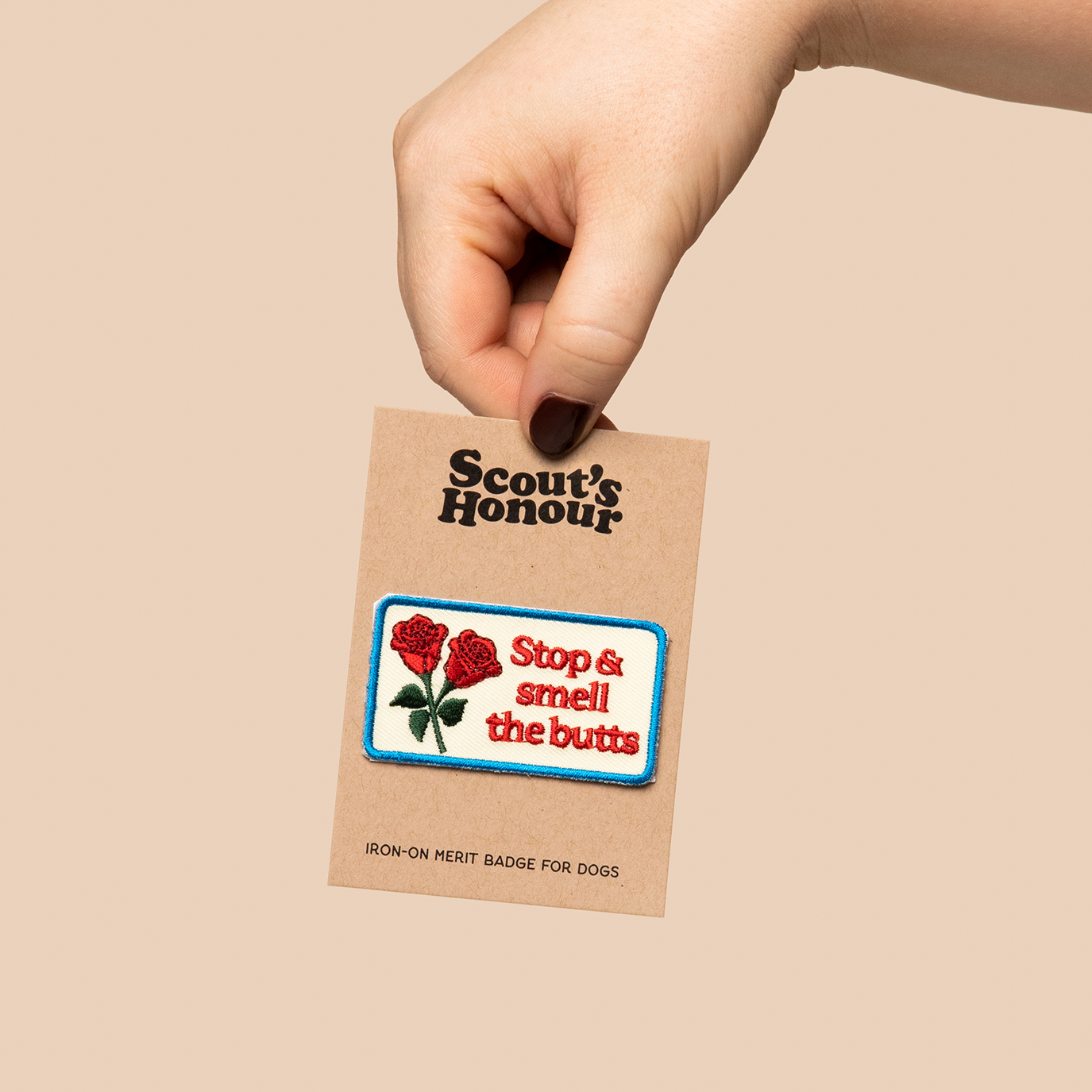 Scouts Honour Badges