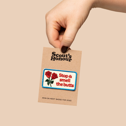 Scouts Honour Badges