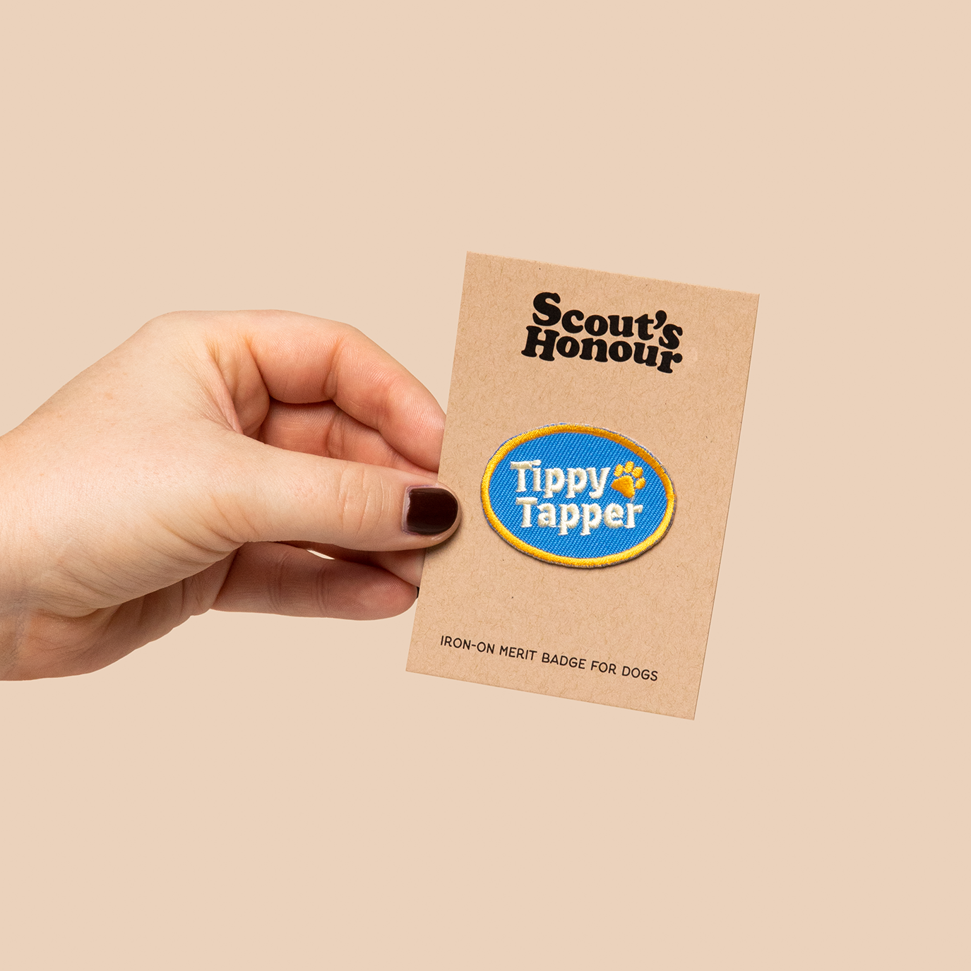 Scouts Honour Badges