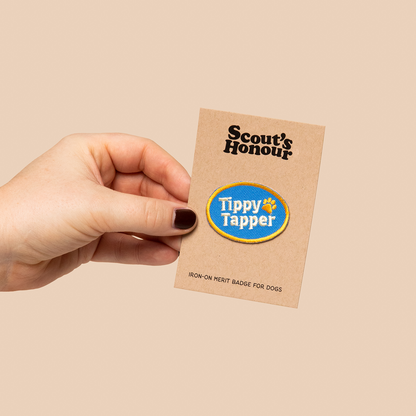 Scouts Honour Badges