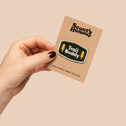 Scouts Honour Badges