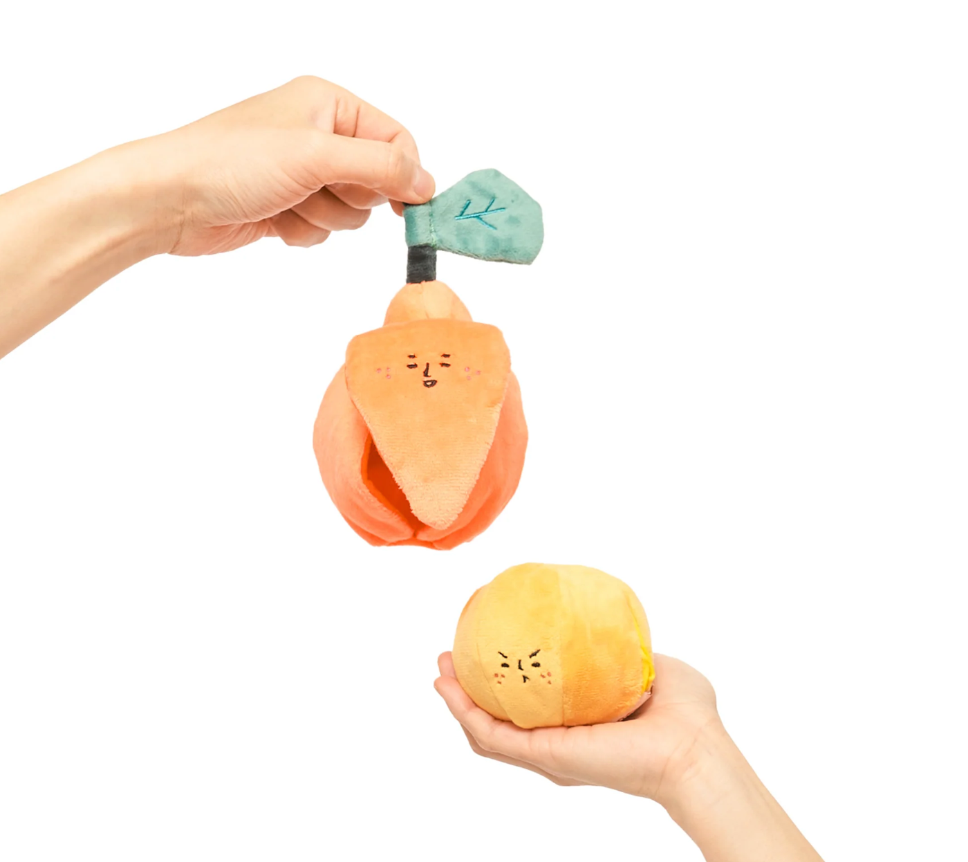 The Furryfolks Fresh Produce Nosework Collection