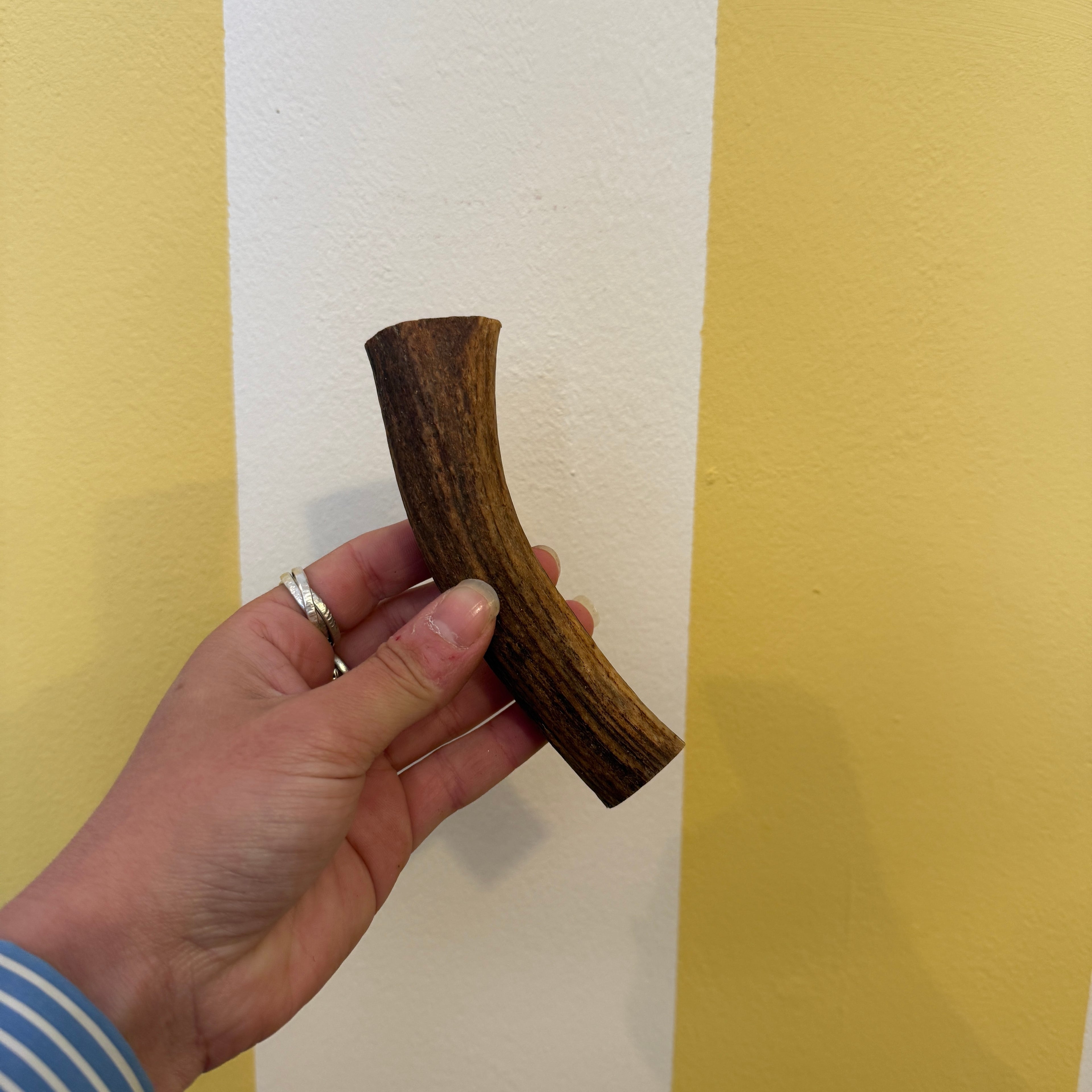 Cotswold Antler
