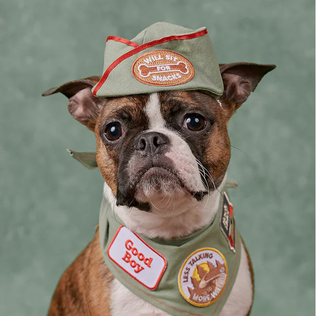 Scouts Honour Badges