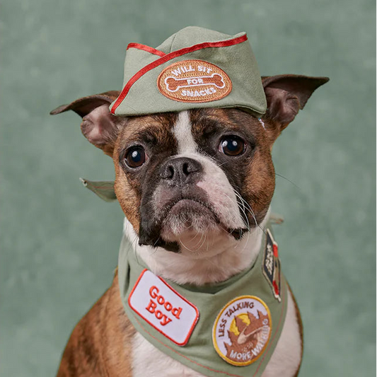 Scouts Honour Badges