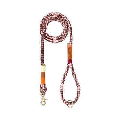 Chommies Everyday Lead