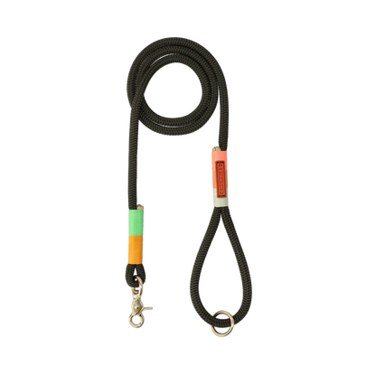 Chommies Everyday Lead