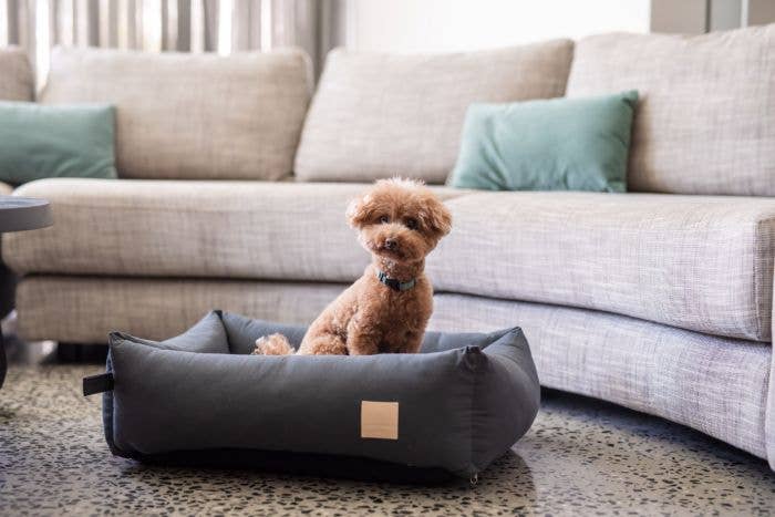 FuzzYard Life Cotton Bed in Slate Grey lifestyle photo